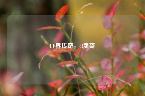 CF界传奇，cf晟哥