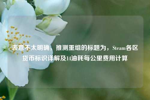 表意不太明确，推测重组的标题为，Steam各区货币标识详解及14油耗每公里费用计算