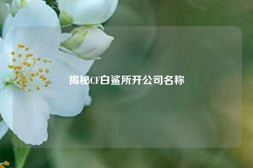 揭秘CF白鲨所开公司名称