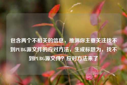 包含两个不相关的信息，推测你主要关注找不到PUBG源文件的应对方法，生成标题为，找不到PUBG源文件？应对方法来了