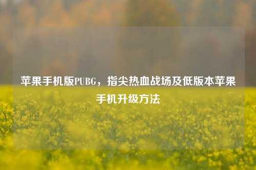苹果手机版PUBG,指尖热血战场及低版本苹果手机升级方法