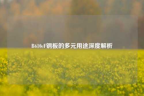 B610cF钢板的多元用途深度解析