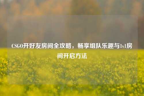 CSGO开好友房间全攻略,畅享组队乐趣与1v1房间开启方法