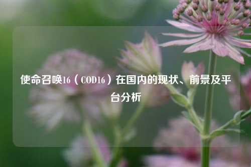 使命召唤16(COD16)在国内的现状、前景及平台分析