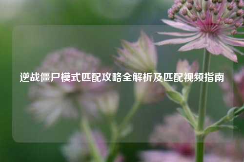 逆战僵尸模式匹配攻略全解析及匹配视频指南