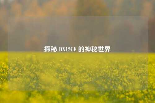 探秘 DX12CF 的神秘世界