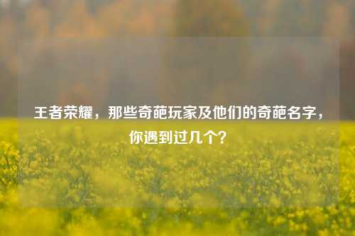 王者荣耀，那些奇葩玩家及他们的奇葩名字，你遇到过几个？