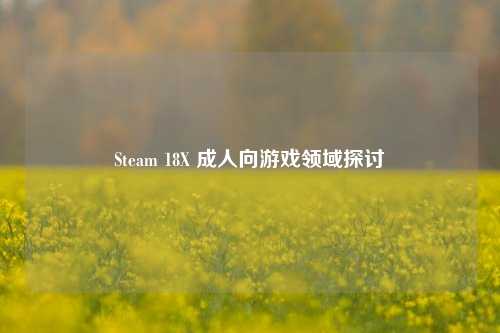 Steam 18X 成人向游戏领域探讨