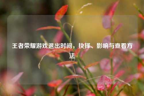 王者荣耀游戏退出时间,抉择、影响与查看方法