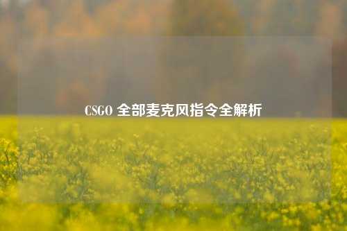 CSGO 全部麦克风指令全解析