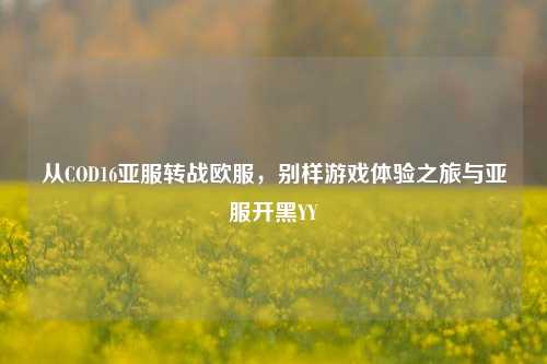 从COD16亚服转战欧服,别样游戏体验之旅与亚服开黑YY