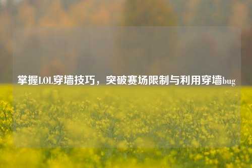 掌握LOL穿墙技巧，突破赛场限制与利用穿墙bug