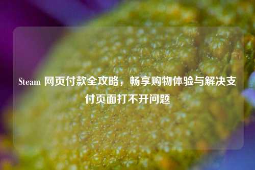 Steam 网页付款全攻略，畅享购物体验与解决支付页面打不开问题