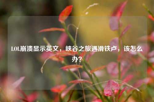LOL崩溃显示英文,峡谷之旅遇滑铁卢,该怎么办?