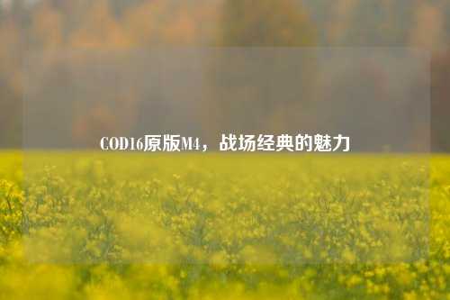 COD16原版M4，战场经典的魅力