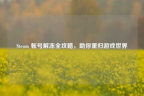 Steam 帐号解冻全攻略，助你重归游戏世界
