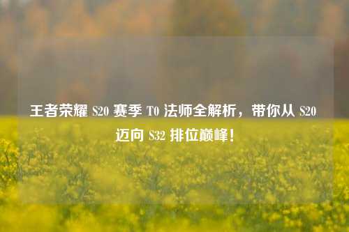 王者荣耀 S20 赛季 T0 法师全解析,带你从 S20 迈向 S32 排位巅峰!