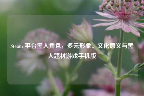 Steam 平台黑人角色，多元形象、文化意义与黑人题材游戏手机版