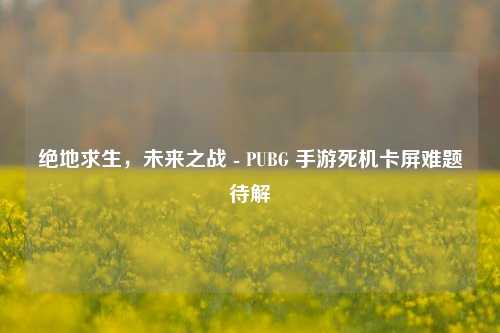 绝地求生,未来之战 - PUBG 手游死机卡屏难题待解