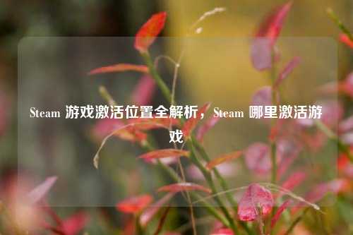 Steam 游戏激活位置全解析,Steam 哪里激活游戏