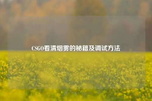 CSGO看清烟雾的秘籍及调试方法