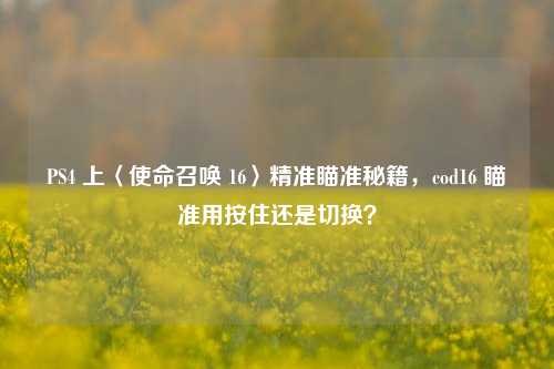 PS4 上〈使命召唤 16〉精准瞄准秘籍，cod16 瞄准用按住还是切换？