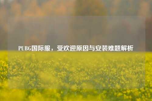 PUBG国际服，受欢迎原因与安装难题解析