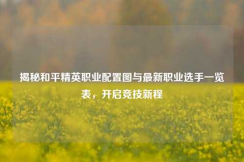 揭秘和平精英职业配置图与最新职业选手一览表,开启竞技新程
