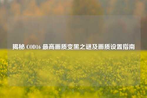 揭秘 COD16 最高画质变黑之谜及画质设置指南