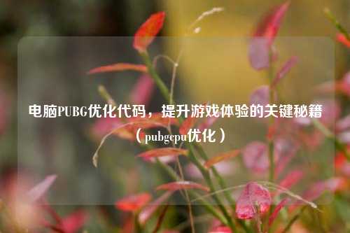 电脑PUBG优化代码,提升游戏体验的关键秘籍(pubgcpu优化)