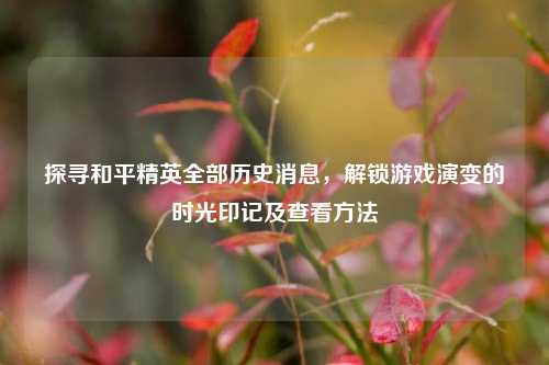 探寻和平精英全部历史消息,解锁游戏演变的时光印记及查看方法