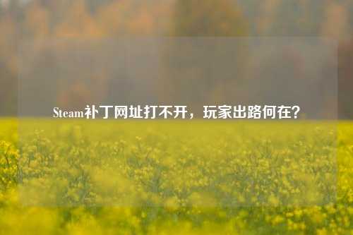 Steam补丁网址打不开,玩家出路何在?