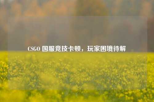 CSGO 国服竞技卡顿,玩家困境待解
