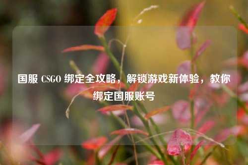 国服 CSGO 绑定全攻略，解锁游戏新体验，教你绑定国服账号