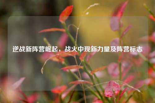 逆战新阵营崛起,战火中现新力量及阵营标志