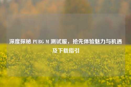 深度探秘 PUBG M 测试服,抢先体验魅力与机遇及下载指引