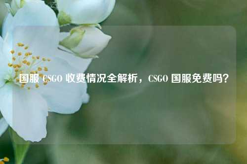 国服 CSGO 收费情况全解析,CSGO 国服免费吗?