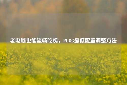 老电脑也能流畅吃鸡,PUBG最低配置调整方法