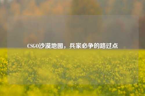 CSGO沙漠地图,兵家必争的路过点