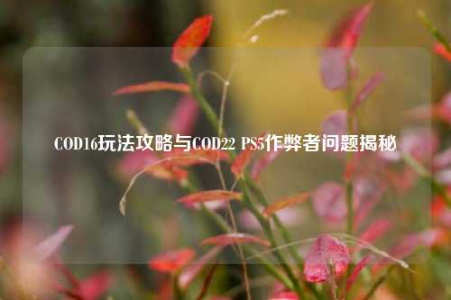 COD16玩法攻略与COD22 PS5作弊者问题揭秘