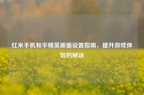 红米手机和平精英画面设置指南,提升游戏体验的秘诀