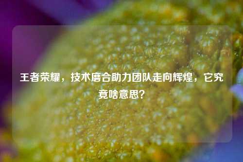 王者荣耀，技术磨合助力团队走向辉煌，它究竟啥意思？