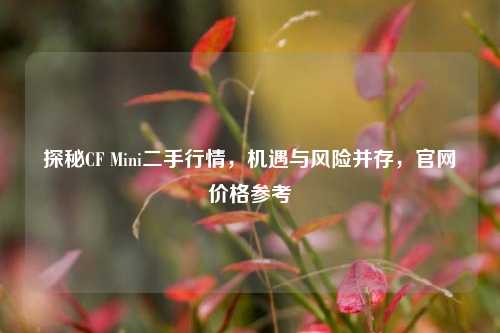 探秘CF Mini二手行情，机遇与风险并存，官网价格参考