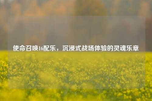 使命召唤16配乐,沉浸式战场体验的灵魂乐章