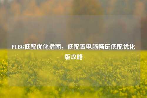 PUBG低配优化指南，低配置电脑畅玩低配优化版攻略