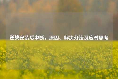 逆战安装后中断,原因、解决办法及应对思考