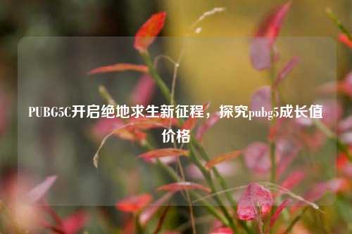 PUBG5C开启绝地求生新征程,探究pubg5成长值价格