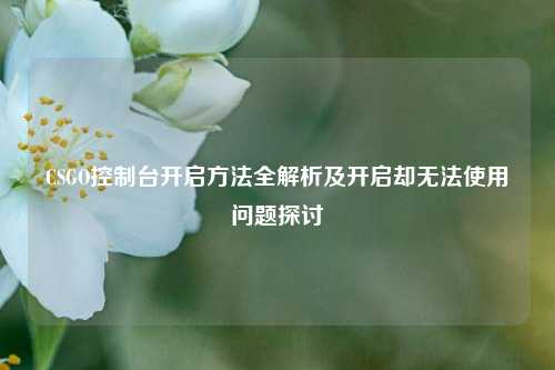 CSGO控制台开启方法全解析及开启却无法使用问题探讨