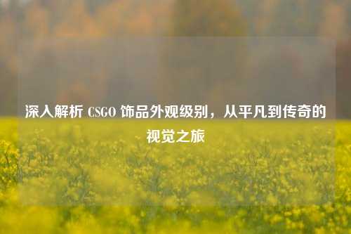深入解析 CSGO 饰品外观级别，从平凡到传奇的视觉之旅