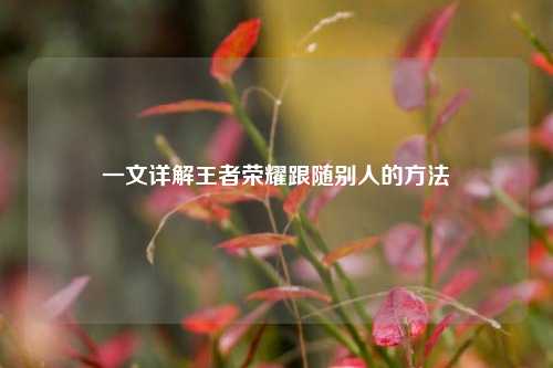 一文详解王者荣耀跟随别人的方法